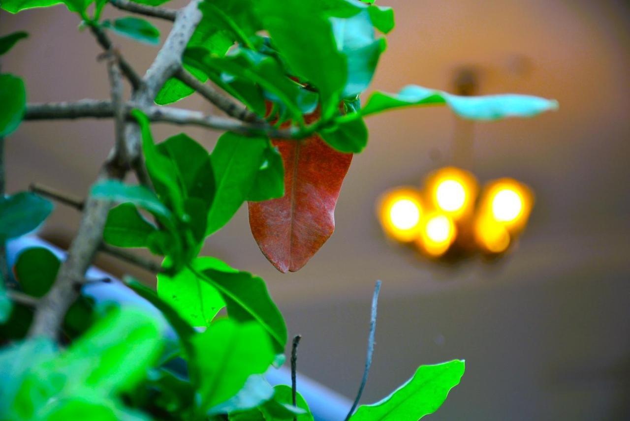 Malaiya Homestay - Grandeur Living Experience Jabalpur Exterior foto
